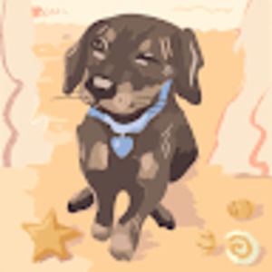 Meet your Posher, Elouise